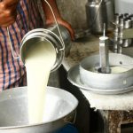 milk price