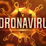 coronavirus in india