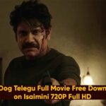 Wild Dog Telegu Full Movie Free Download on Isaimini 720P Full HD