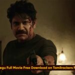 Wild Dog Telegu Full Movie Free Download on Tamilrockers Full HD 1080P