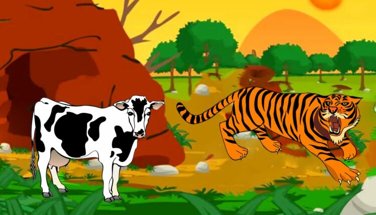 Tiger and Cow