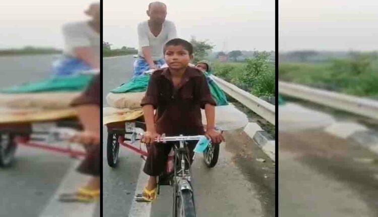 Tabaarak Van Cart Pulling