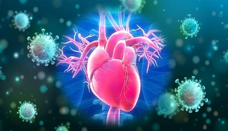 Heart Damage Lingers in COVID 19 Patients