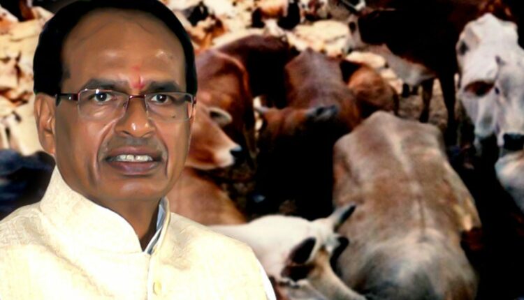 Madhya Pradesh Gau Mata Tax