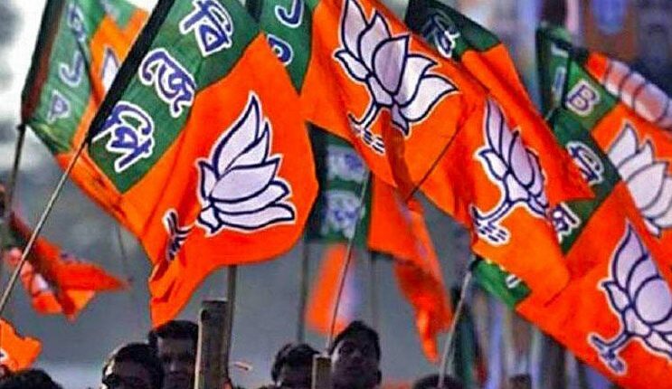 BJP 5 Cnetral Leader Profile