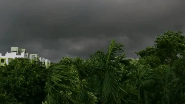 Bengal Weather Update: বর্ষা ঢুকলেও গরমে হাঁসফাঁস কলকাতা, বিকেলেই কালবৈশাখীর শঙ্কা ৫ জেলায়