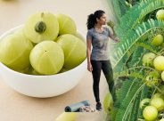 Fermented Amla: আমলকি ফারমেন্ট করলে ভিটামিন সি বাড়ে না কমে? যা বলছে গবেষণা