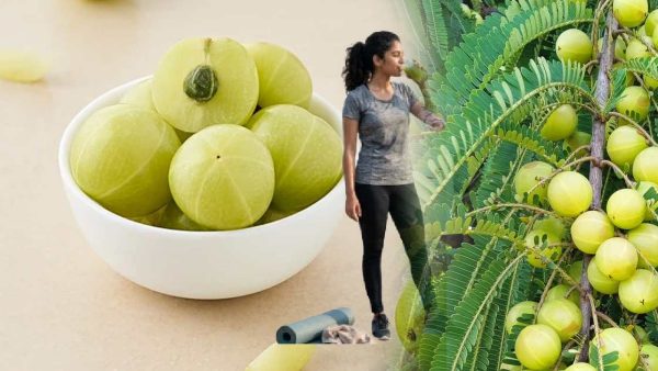 Fermented Amla: আমলকি ফারমেন্ট করলে ভিটামিন সি বাড়ে না কমে? যা বলছে গবেষণা
