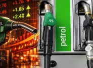 Petrol Diesel New Rule: পেট্রোল পাম্প থেকে বাল্ক ডিজেল কেনায় নিষেধাজ্ঞা কেন্দ্রের, ৯০ দিনের নির্দেশিকা